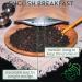 English Breakfast Loose Leaf Tea - Assam, Darjeeling & Ceylon BOP1 Blend - 175g - Buy Online on GoSupps.com