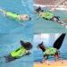 Hawaiian Style Ripstop Dog Life Jacket - Floral Green Small | Reflective & Adjustable Swimming Vest with Handle - for Small/Medium/Large Dogs | Pet Safety Life Preserver for Boating & Swimming - Buy Online on GoSupps.com