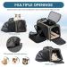 Petsfit Expandable Airline Approved Soft-Sided Cat Carrier M 17x11x11 - Green - Buy Online on GoSupps.com