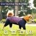 Heywean Dog Body After Surgery - One-Piece Zipper Long-Sleeve Relaxation Suit for Dogs - Buy Online on GoSupps.com