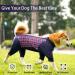 Heywean Dog Recovery Suit for After Surgery - Zippered Long-Sleeved One-Piece for Post-Op Dogs - XXXL Red Checked Body for Dog Relaxation - Buy Online on GoSupps.com