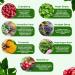 Kidney Cleanse Detox & Repair | Extra Strength 50:1 Cranberry Extract | 22-in-1 Kidney Health Supplement for Detox & Bladder Support - Buy Online on GoSupps.com