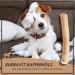 Supravit Natural Coffee Wood Chewing Bones for Dogs | Long-Lasting Play & Chewing Fun | Caustab Quality Dog Chew Toys - Buy Online on GoSupps.com