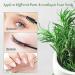 Organic Rosemary Oil for Hair Growth and Skin Care - 120ml Pure Essential Oil for Hair Loss Treatment - Buy Online on GoSupps.com