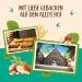 Allos Organic Oat Flapjack Nut Bar - 16 x 50g | Healthy Energy & Sports Snack - Buy Online on GoSupps.com