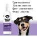 Buddycare Dog Deodorizing Spray - Lavender Soothing Spray with Aloe Vera & Pro-Vitamin B5 (200ml) - International Shipping - Buy Online on GoSupps.com