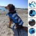 Wallpage Dog Swimming Vest - Adjustable Pet Bathing Suit & Lifesaver for Dogs (Small Blue) - Perfect Fit for Safe Water Fun - Buy Online on GoSupps.com