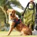 Adjustable Dog Leash for Large & Medium Dogs - Durable Nylon with Double Carabiners & 3 Rings - 14mm Black - Buy Online on GoSupps.com