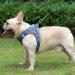 Suredoo Dog Harness for Small Dogs with Leash | Reflective Breathable Anti-Train Design | XS Gray Checkered - Perfect for Puppies & Medium Dogs - Buy Online on GoSupps.com