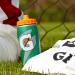 Gatorade 32oz Gator-Skin Bottle - Green - One Size: Stay Hydrated in Style - Buy Online on GoSupps.com