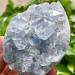 Natural Crystal Rough Natural Blue Celestite Cluster Specimen for Decoration Wedding Decoration AquariumStones - Buy Online on GoSupps.com