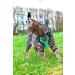 AWOOF Escape Proof Kitten Harness and Leash Adjustable Cat Walking Jacket Soft Breathable Pet Vest Green (S) - Buy Online on GoSupps.com