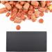 AOVNA 2 Pieces Reptile Basking Platform Tortoise Rock Plate Slate Reptile Food Dish Slate Habitat for Turtle Lizard Snake Chameleon 24 12cm - Buy Online on GoSupps.com