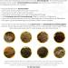 Share Prunes ferment es originales dans un sac cologique de 500 g (30 pi ces) - Prune verte ferment e 500 g - Les prunes vertes/abricots japonais sont v g taliens sans lactose - Buy Online on GoSupps.com