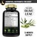 Olive Leaf 6050mg + Garcinia Cambogia - 150 Capsules - Cardiovascular Health, Antioxidant, Immune Support - Buy Online on GoSupps.com