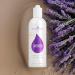 Young Living Lavender Bath & Shower Gel 8 oz - Gentle Cleanser Moisturizes Skin Premium Essential Oil Body Wash - Buy Online on GoSupps.com