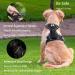 Funfox Medium Dog Harness with Reflective Strips | No-Pull Adjustable Vest for Easy Walking | Front Clip Control | Ideal for Large Breeds | Stop Pulling | Black (Neck 37-50cm, Chest 40-68cm) - Buy Online on GoSupps.com