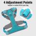 Plutus Pet No Pull Dog Harness - Cyan, Medium Size | Reflective & Adjustable Dog Vest with Easy Control Handle | Perfect for Walking Small, Medium, Large Dogs - Buy Online on GoSupps.com
