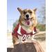 NFL Chicago Bears Mesh Jersey for Cats and Dogs- Small Arizona Cardinals - Buy Online on GoSupps.com