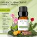 Elegant Charisma Hotel Diffuser Oil - 10ML Pure Cedarwood & Sandalwood Essential Oil | Inspired by Shangri-La Hotel Collection - International Shipping Available - Buy Online on GoSupps.com