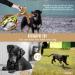 Shop Plush Squeaky Dog Toys - Tug-of-War with Crinkle Paper & Rope for All Dog Sizes - Buy Online on GoSupps.com