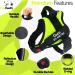 Pawpawify Personalized Dog Harness - No Pull Durable Training Harness for Dogs (Chest 24-31in Green) - Prevents Tugging & Choking - Buy Online on GoSupps.com