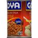 Goya Foods Mexican Style Pinto Beans 15oz (Pack of 24) - Authentic Flavor | Buy Now - Buy Online on GoSupps.com