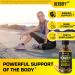 HERBIFY Bundle - Lions Mane & Vitamin D3 2 Fl Oz Drops - Supplement for Memory Focus & Clarity & Immune Support Bone Strength and Teeth Support Supplement - Buy Online on GoSupps.com