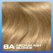 Clairol Nice'n Easy Cr me Permanent Hair Dye 8A Medium Ash Blonde - 1 Count - Buy Online on GoSupps.com