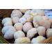 British Grown Lion's Mane Dried Mushrooms 25g by The Fine Fungi co. (5 Servings). Premium Quality - Vegan - Palm Oil and GMO Free - Buy Online on GoSupps.com