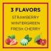 Carmex Daily Care Moisturizing Lip Balm Tubes SPF Fresh Cherry, Strawberry, Wintergreen 0.35 OZ - 3 Pack - Buy Online on GoSupps.com