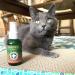 Meowijuana Organic High-Potency Catnip Spray Bundle - 3oz | USA-Grown | For Cat Toys, Teasers & Scratchers | Feline Approved - Buy Online on GoSupps.com
