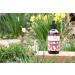 Earthley Wellness Sinus Saver - Natural Allergen-Free Remedy with Vitamin C (2 oz) - Paraben & Preservative-Free International Shipping Available - Buy Online on GoSupps.com