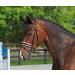 BUSSE bridle COMFORT black/rhinestone-multi warmblood