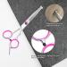 Professional 4-Piece Dog Grooming Scissors Set with Safety Round Tip - Stainless Steel Curved Scissors for Pet Hair Trimming | Includes Storage Bag - Buy Online on GoSupps.com