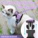 Rabbitgoo Cat Dishes & Harness Sets | Premium Cat Accessories for Happy Pets - Buy Online on GoSupps.com