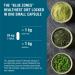 Endotelio 1-MNA Anti-Aging Supplement Optimizes NAD+ Biohacking Cell Health Support Scientifically Formulated with Enhanced Bioavailability 30 Capsules - Buy Online on GoSupps.com