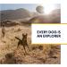 Ruffwear Omnijore Dog Joring System - Orange Poppy Large/X-Large for Skiing, Skateboarding, Biking - Buy Online on GoSupps.com