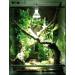Buy Lucky Reptile Bright Control Evo 70W Electronic Ballast for Metal Stamping Lamps - UV Lamp Operating Unit & Terrarium Lighting Accessories - Buy Online on GoSupps.com
