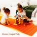 Buy Portable Electrical Soil Heating Mat - Rapid Carbon Crystal Carpet for Winter Yoga & Kids Play - Buy Online on GoSupps.com