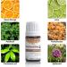 Pranarom Essential Oil Diffusion Blend for Meditation - 5ml Aroma Therapy - Buy Online on GoSupps.com