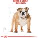 ROYAL CANIN BULLGOG ENGLISH ADULT Bag of 12 kg croquettes for adult English Bulldog (12 months) - Buy Online on GoSupps.com
