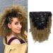 Anrosa Blonde Afro Kinkys Curly Clip in Hair Extensions Human Hair 10 Inch 4A 4B Curly Hair Extensions for Black Women 120 G 1B Ombre 1B/27 10 Inch