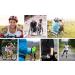 Buy METEOR FXJ20 Gel Kinder Bicycle Gloves - Bright Colors for Child Visibility | Comfortable & Safe Kids' Cycling Gloves - Buy Online on GoSupps.com