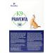 Parapet K9 Praventa 360 for Small Dogs - 3 Tubes - Buy Online on GoSupps.com