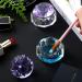 2-Piece Crystal Glass Dappen Dish Set for Acrylic Nails - Nail Manicure Care Tools - Buy Online on GoSupps.com