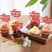 Keaziu 24 Pack Happy Mothers Day Cupcake Toppers Flower Best Mom Cupcake Picks Mom's Theme Happy Mother's Day Women Birthday Party Cake Decorations Supplies Red Red 2024 - Buy Online on GoSupps.com
