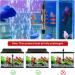 Vegena Aquarium Heater 200W Adjustable Thermostat for 200L Fish Tanks | Reliable Heating Rod with Suction Cups - Buy Online on GoSupps.com