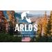 Arlo's Pro-Growth 2-in-1 Beard Wash & Conditioner - Vanilla Sandalwood & Menthol - 12 oz | International Shipping Available - Buy Online on GoSupps.com