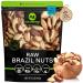 Raw Brazil Nuts, Unsalted, No Shell, Whole, Superior to Organic (32oz - 2 LB) Bulk Nuts Packed Fresh in Resealable Bag - Healthy Protein Food Snack, All Natural, Keto Friendly, Vegan, Kosher Brazil Nuts Raw - 32 Ounce